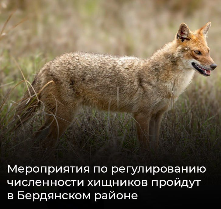 ����������� �� ������������� ����������� �������� ������� � ���������� ������