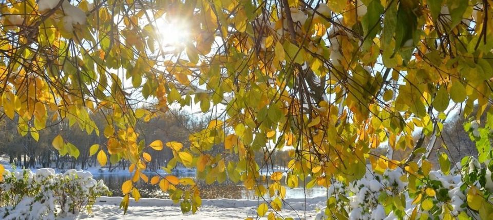 ������ ����. � �� �����, ��� �������