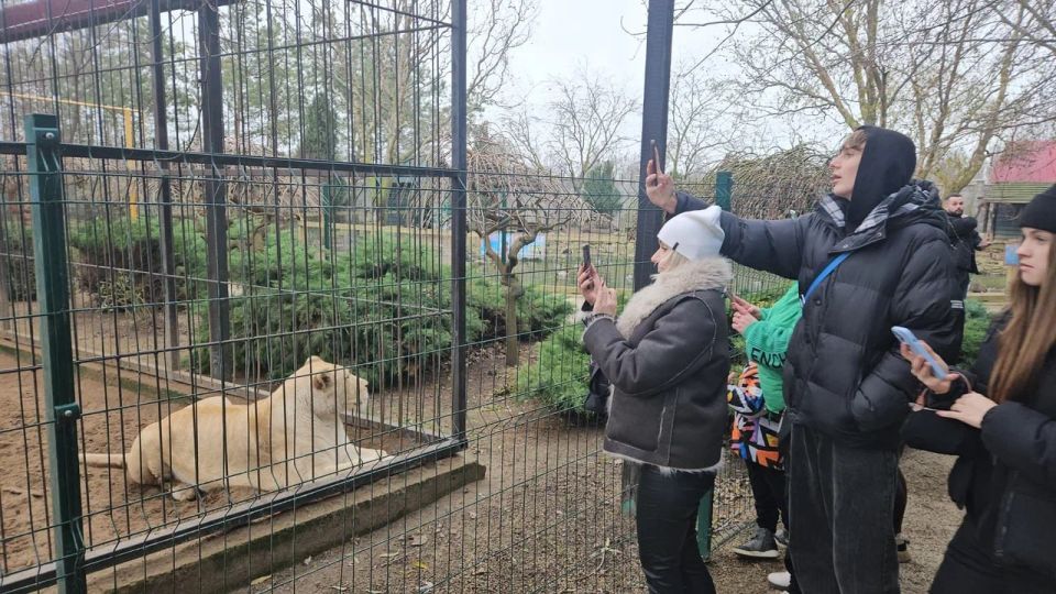 В канун Нового года дети участников СВО из Мелитополя попали на сказочное сафари: запорожский филиал фонда «Защитники Отечества» и региональное министерство молодежной политики организовали для них тур в бердянский зоопарк В канун Нового года дети участников СВО из Мелитополя попали на сказочное сафари: запорожский филиал фонда «Защитники Отечества» и региональное министерство молодежной политики организовали для них тур в бердянский зоопарк