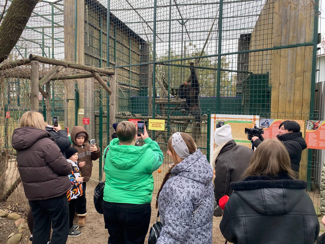 В канун Нового года дети участников СВО посетили бердянский зоопарк В канун Нового года дети участников СВО посетили бердянский зоопарк