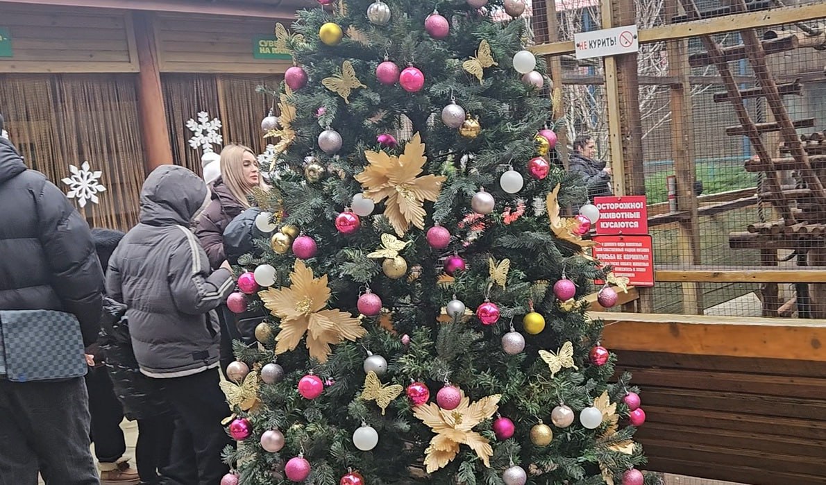 В канун Нового года дети участников СВО посетили бердянский зоопарк В канун Нового года дети участников СВО посетили бердянский зоопарк