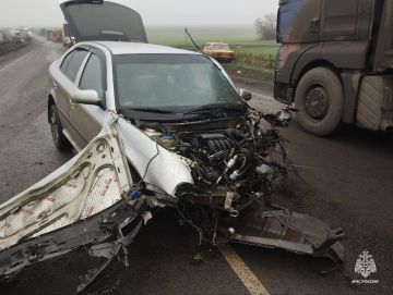 Трагическое ДТП в Бердянском муниципальном округе