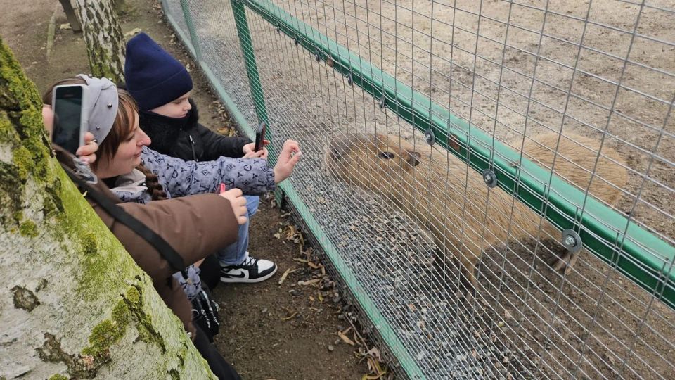 � ����� ������ ���� ���� ���������� ��� �������� ���������� �������