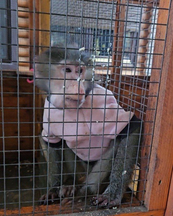 � ����� ������ ���� ���� ���������� ��� �������� ���������� �������