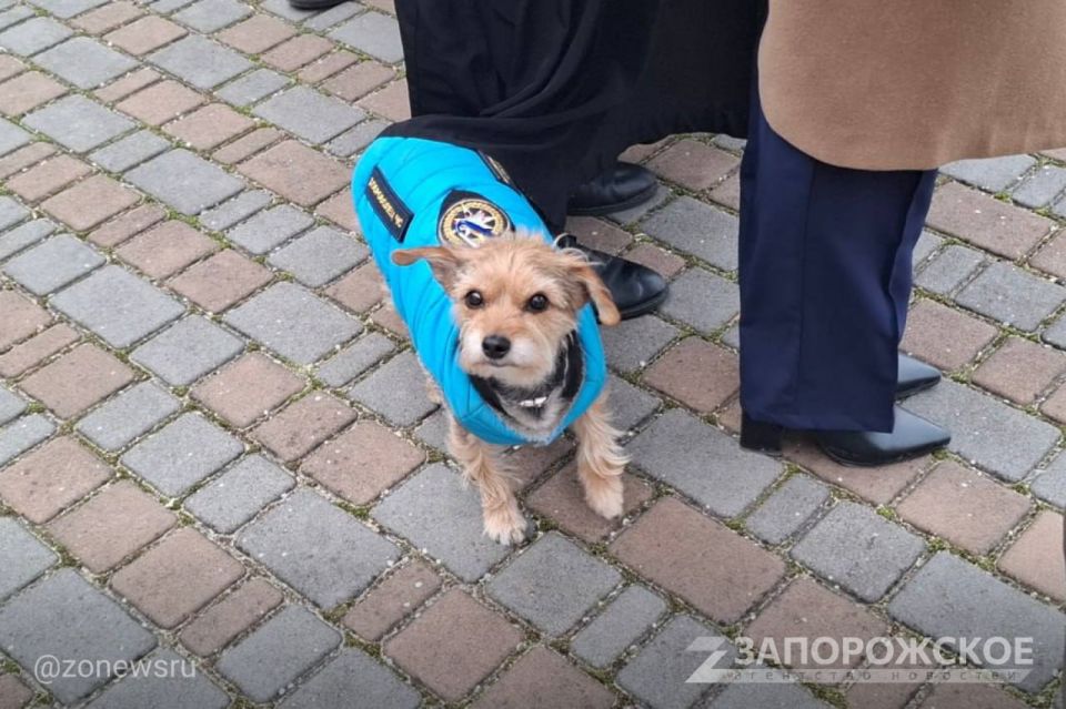 ���� ������ �� ���� �������� � ��������� ������-������������� ��������