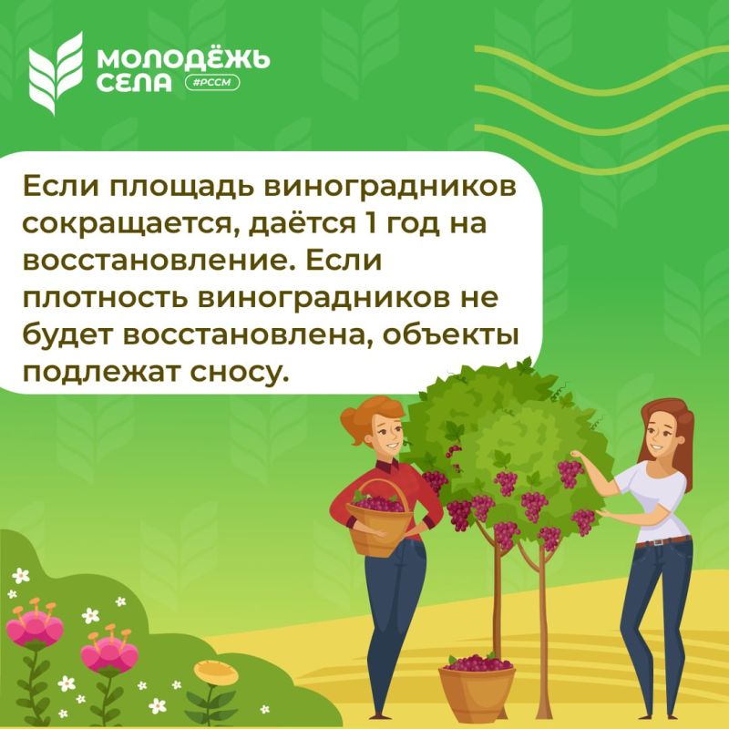 Приняты важные изменения в закон «О виноградарстве и виноделии» Приняты важные изменения в закон «О виноградарстве и виноделии»