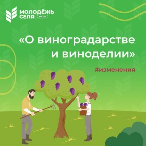 Приняты важные изменения в закон «О виноградарстве и виноделии»