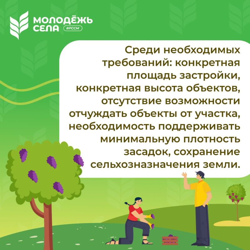 Приняты важные изменения в закон «О виноградарстве и виноделии» Приняты важные изменения в закон «О виноградарстве и виноделии»