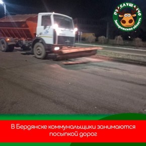 Коммунальные службы Бердянска занимаются посыпкой дорог