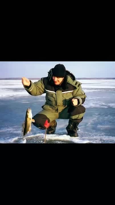 ������ ������� ����� �������� ������ ��� �������� ��������