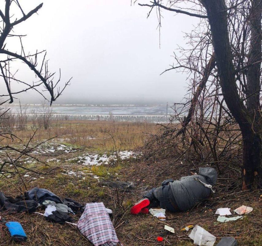 ������ ��������: ������������������ ������������ ��� ������ ������������ ��������� � 5 �� 11 ������ 2026 ����