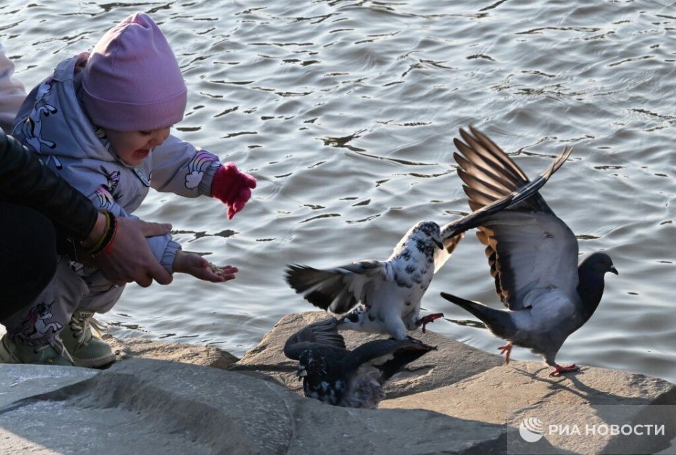 ������ �� ����� ����������� ������