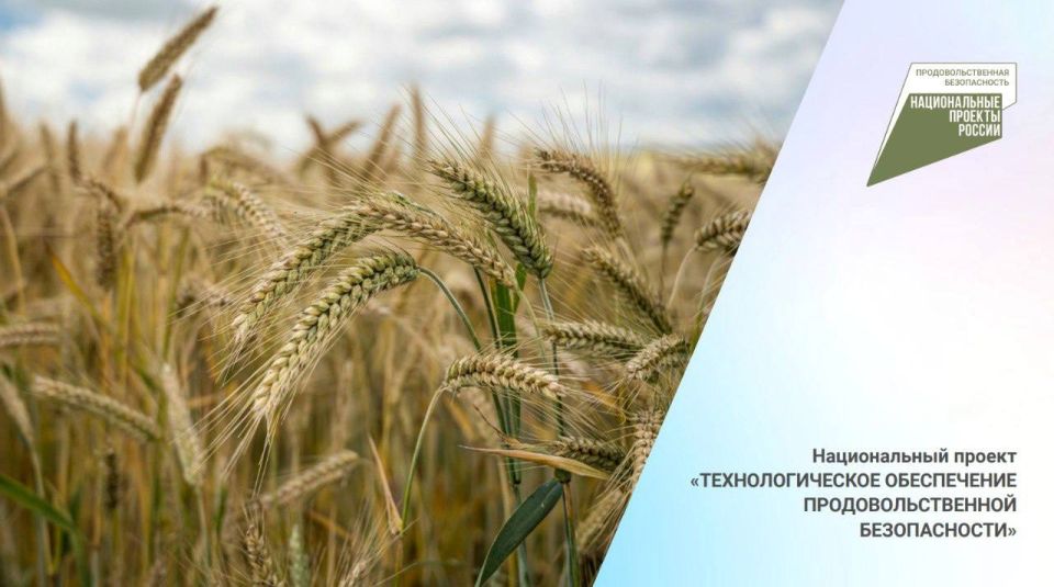 От стратегии к практике: итоги первого года реализации национального проекта «Технологическое обеспечение продовольственной безопасности»