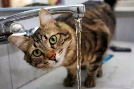 ���� �������: ������ "���������� ����� " ��� �� "���� ���������" �����������: