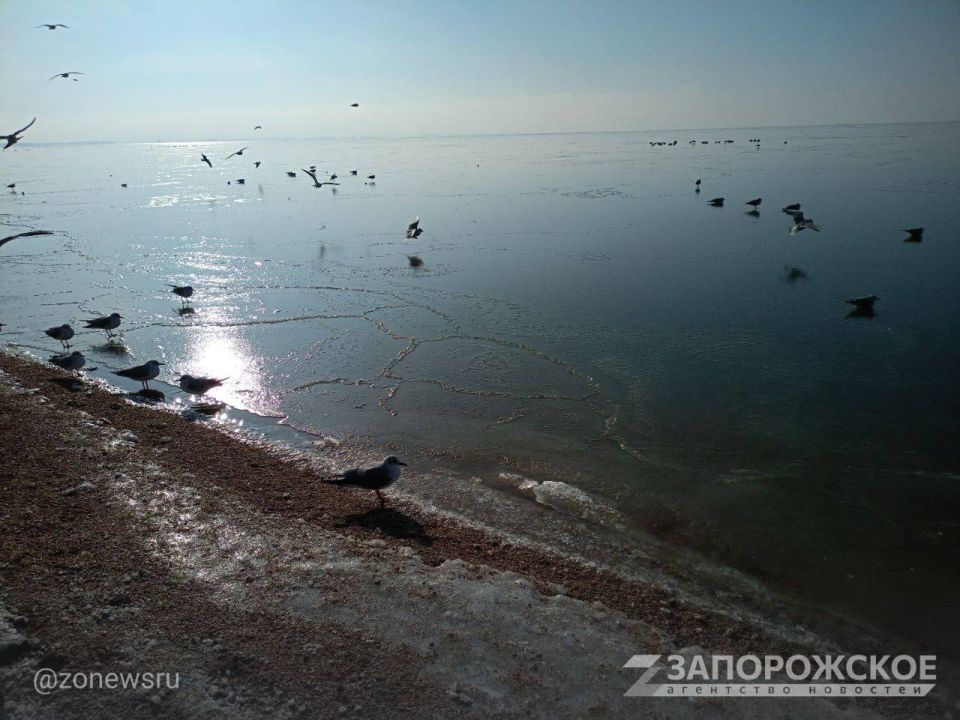 ����� �������� ���� ������� ������� ����������� ��������� ��������� ��������: ��� ��������� ������� ������ ����� ����