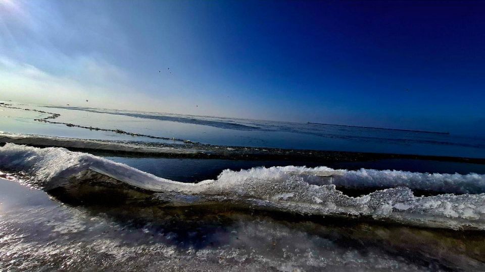 ����� �������� ���� ������� ������� ����������� ��������� ��������� ��������: ��� ��������� ������� ������ ����� ����