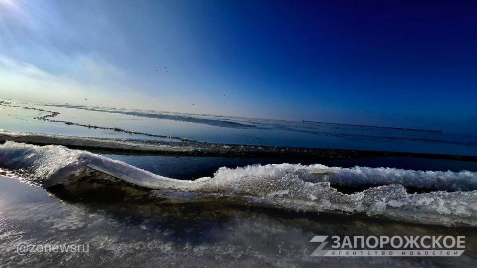 ����� �������� ���� ������� ������� ����������� ��������� ��������� ��������: ��� ��������� ������� ������ ����� ����