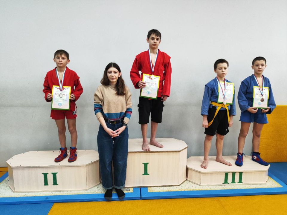 ������ �������� ���������� ���������� ������ ���������� �� ����� ����� ������ � ������� 14�16 ��� (2010�2012 ����� ��������)