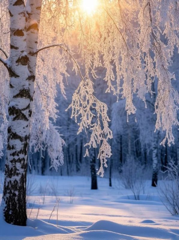 Доброе утро. А вы знали, что сегодня
