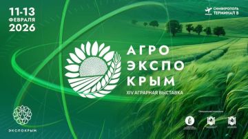 � 11 �� 13 ������� 2026 ���� � �. ����������� ��� ��������� ����������� ���������� ���� ������� XIV ������������� �������� �������� ��������������