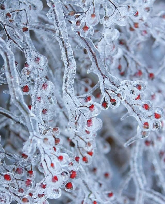 ������ ����. � �� �����, ��� �������