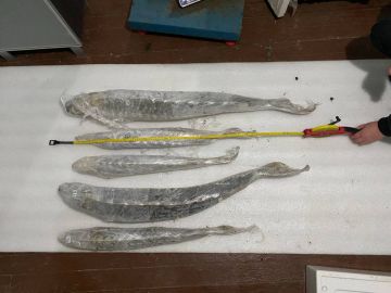 ������� ��������� ����������� ��������� � ���������� ������ ������ ����� ���� ��������� ���������