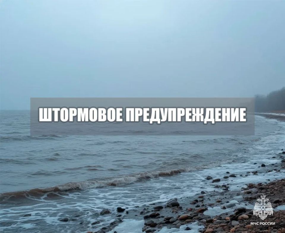 ��������� ��������������. �� ����� ��� 14 ������� �� ��������� ���� ����������, ����� 14-15 ������� ��������� ������� �����, ��������� 0,5-1,0 ��, ���������� ����� 15 �������