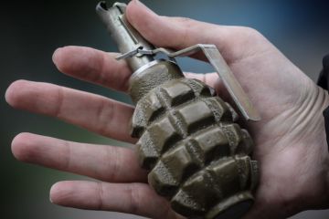 На 8 лет в колонию отправится житель Черниговского района за попытку продать три гранаты