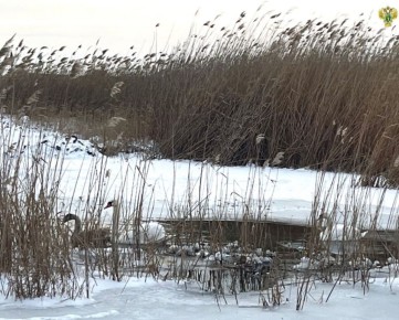 �������������� ����������� ��������������� ����������� �� ��������� ������� ����������� ������ ������� �������� �� ����� ���������� ���������� � ��������� ����, ���������� � ������� ����� ���������� ���������