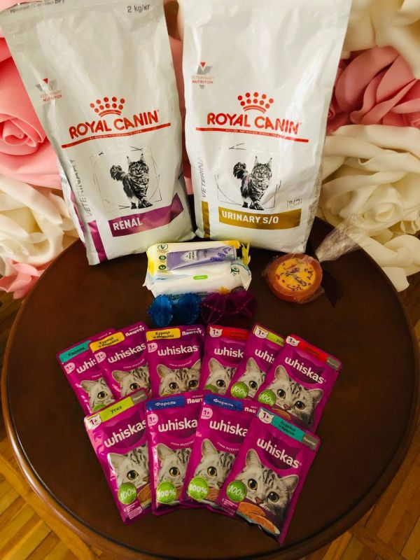 1 ����� � ���� �����: �������� ������ ����� �����