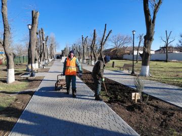 ���� �������� ��������� � 8 �����