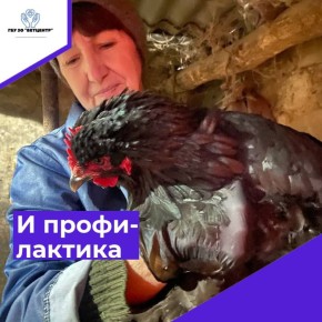 ������������ ������ ����������� ������� � ��������� ������ ������ ��� ������ ��������� �����