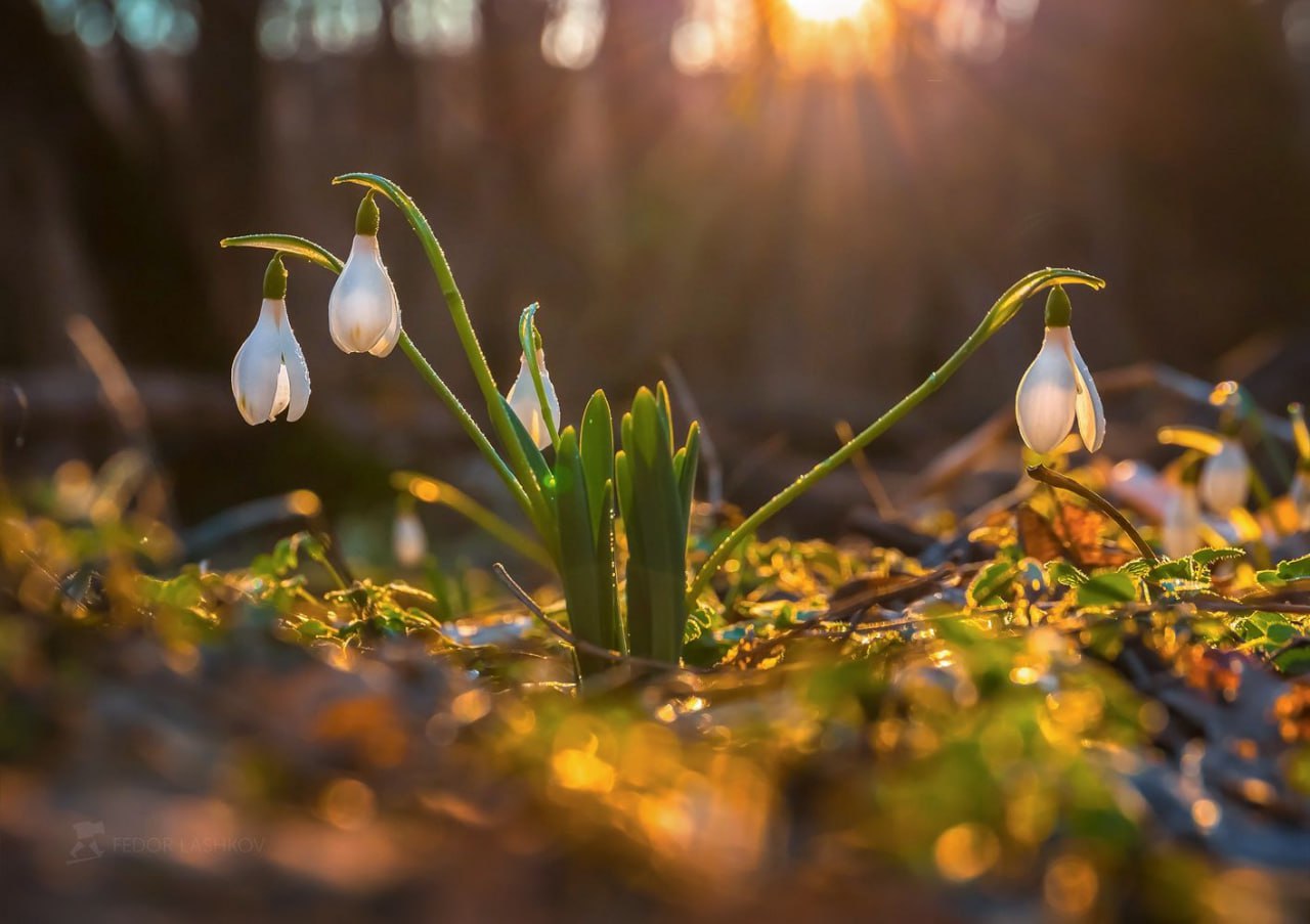Доброе утро. А вы знали, что сегодня