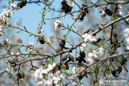 ������ �� ����� ����������� ������