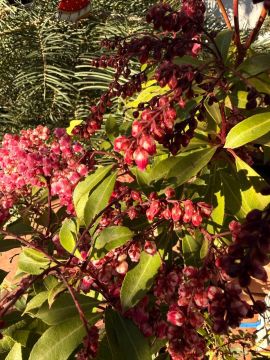 ������ ����. � �� �����, ��� �������