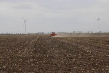 � ����������� ������� ������ 463 ������ �������� ������