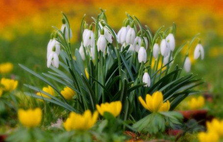 Доброе утро. А вы знали, что сегодня