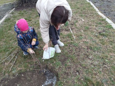 Духовное единение через красоту