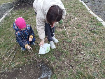 Духовное единение через красоту