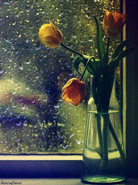 Доброе утро. А вы знали, что сегодня