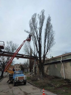 � ��������� ������������ ������ �� ���������������