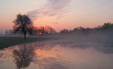 Доброе утро. А вы знали, что сегодня