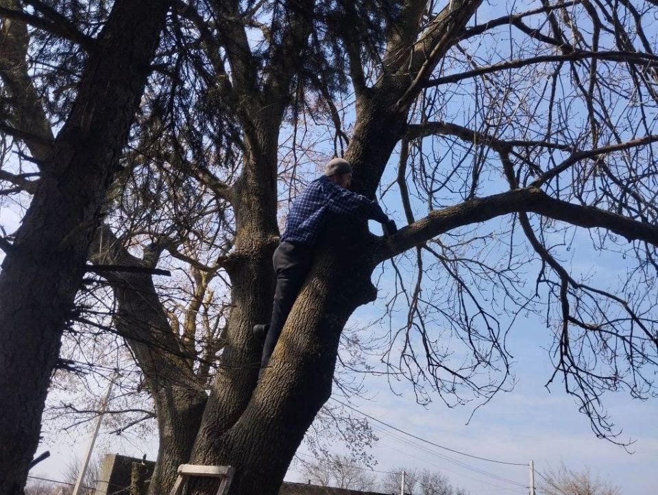 Субботник в Новопетровском Доме культуры Субботник в Новопетровском Доме культуры