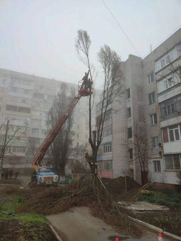Коммунальные службы Бердянска продолжают комплексную работу по благоустройству города Коммунальные службы Бердянска продолжают комплексную работу по благоустройству города