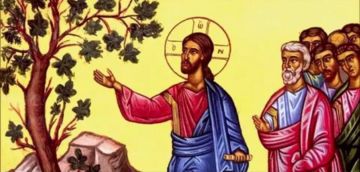 ���� �������: ������������ ��������� �������� � ����� ������� � �������� ������ ���������� ���� � ��������� �������