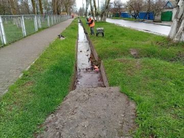 В Бердянске продолжаются работы по очистке улиц и сносу аварийных деревьев