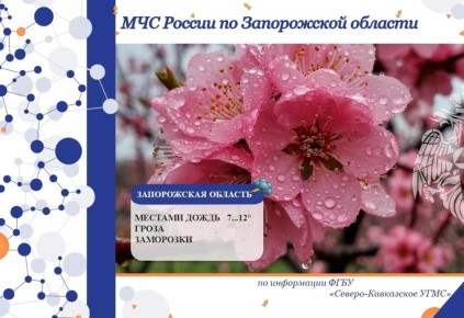 � 8 �� 9 ������ �� ���������� ������� ���������: