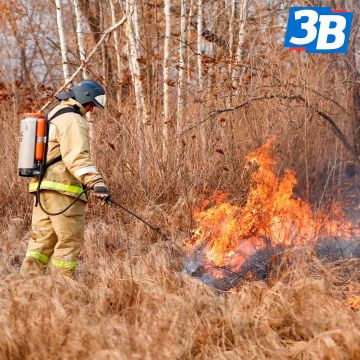 В Запорожской области с 1 апреля начался пожароопасный сезон