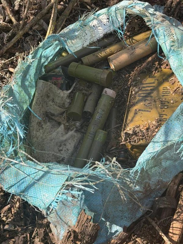 � ����������� ������ �������� ���������� ������ �����������