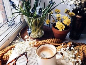 ������ ����. � �� �����, ��� �������